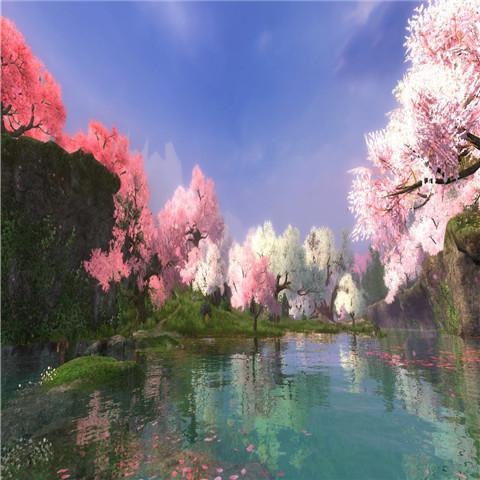 浙江宁波市有哪个区