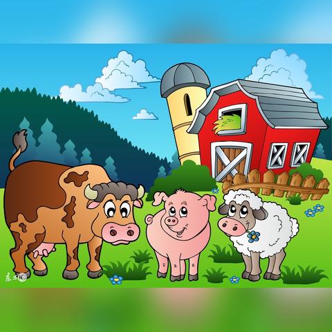 【哈巴狗儿歌,宝宝巴士一只哈巴狗儿歌】