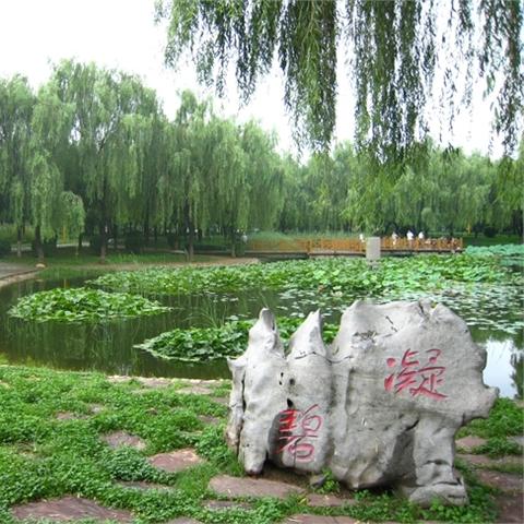 石家庄市林地的长尾关键词有哪些