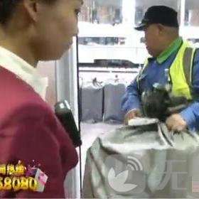 济南市西站什么区