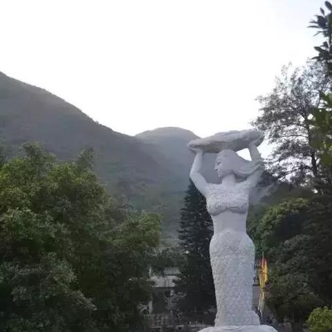 广州市手杖店电话多少号