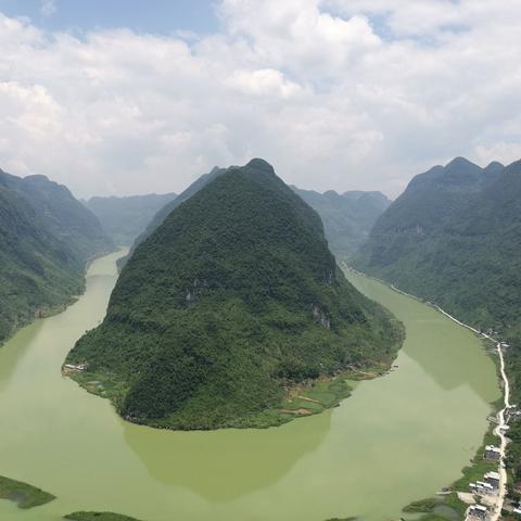 桂林的代表花是什么？