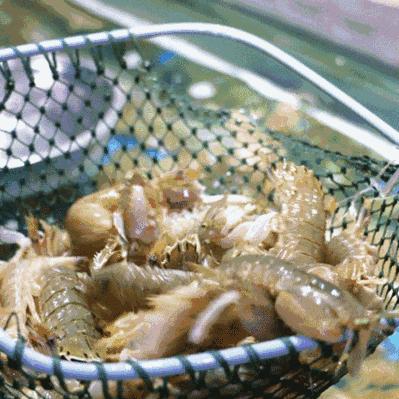 广东去重庆景点推荐的长尾关键词有哪些