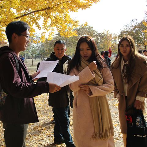 临沂市看银杏林哪里好一点