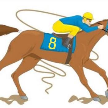 生肖马未来30年运势(生肖马未来30年运势怎么样)