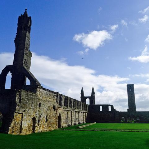 重庆大学爱丁堡大学项目的长尾关键词有哪些