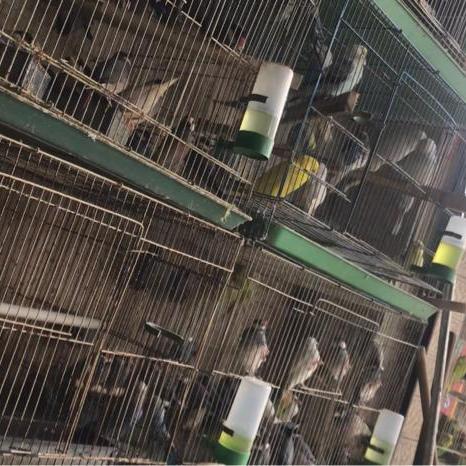 限建和禁建的不同？