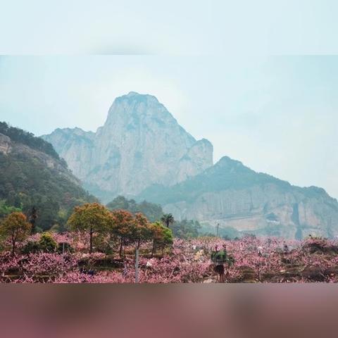 温州市海鲜酒楼的长尾关键词有哪些