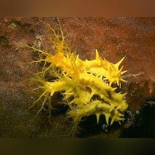 神秘海域 电影的长尾关键词有哪些