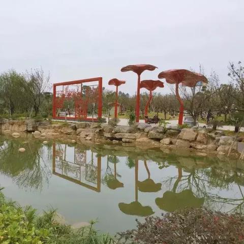 桂林市市树是什么