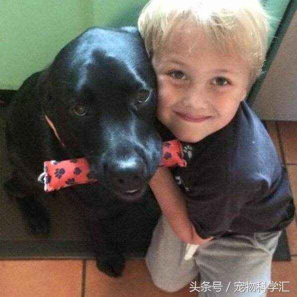 梦境的启示,梦见母亲去世然后又被叫醒的深层含义 梦境的启示,梦见母亲去世然后又被叫醒的深层含义