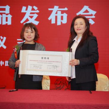 合肥大童衣服在哪买相关长尾关键词有哪些