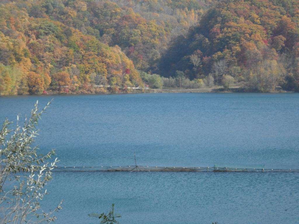 龙湾风光