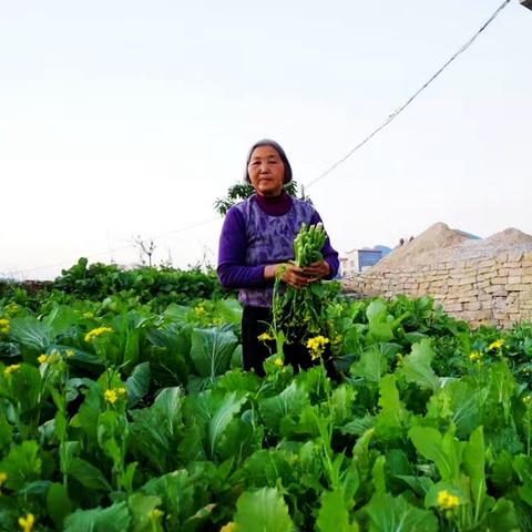 桂林市疏菜店怎么样
