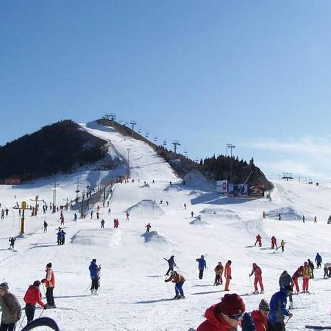 沈阳市哪个地方的