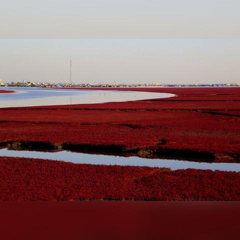 兴隆台到沈阳时刻表相关长尾关键词有哪些