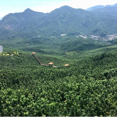 福建的玻璃栈道的相关长尾关键词有哪些