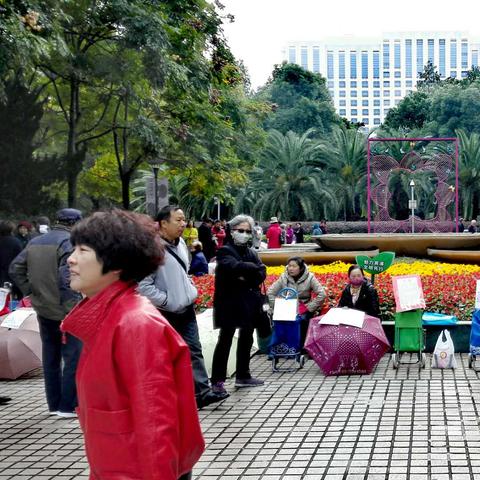 盘点上海 征婚相关关键词有哪些