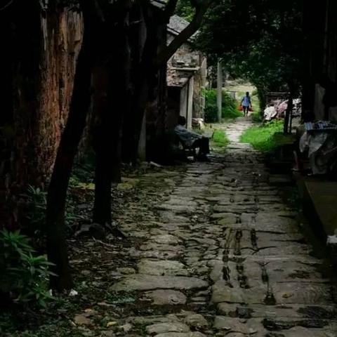 庐江属于合肥市哪个区