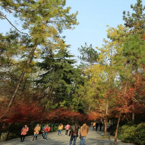 杭州市有什么景区和景点