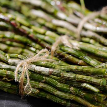 肾阴虚做什么运动好的长尾关键词是什么