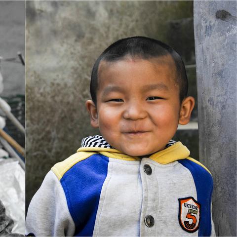 河南农田里种什么花好