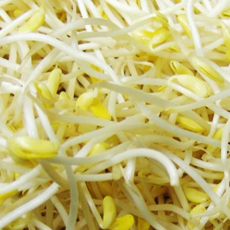 神农文化公园哪开发的？