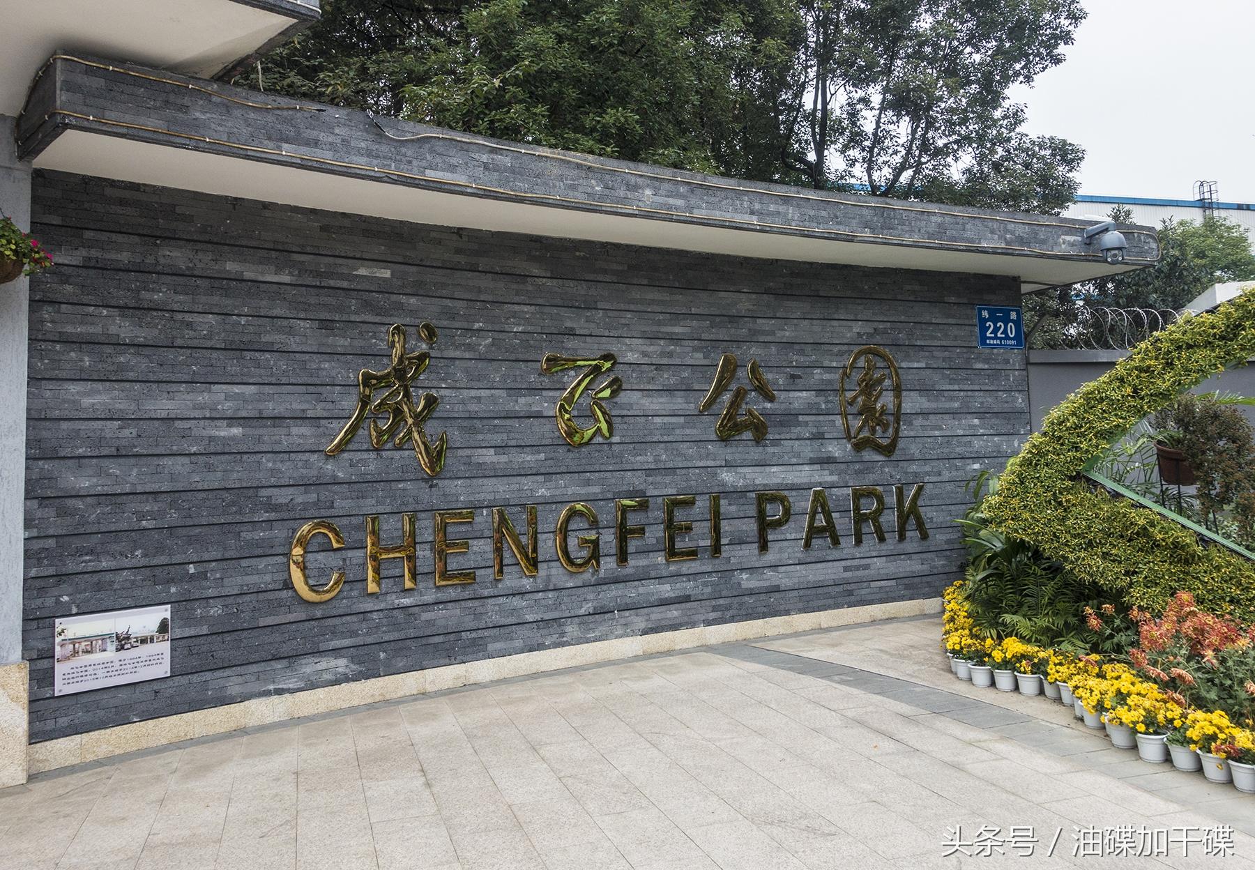 许可证打一个生肖，作答解析解释