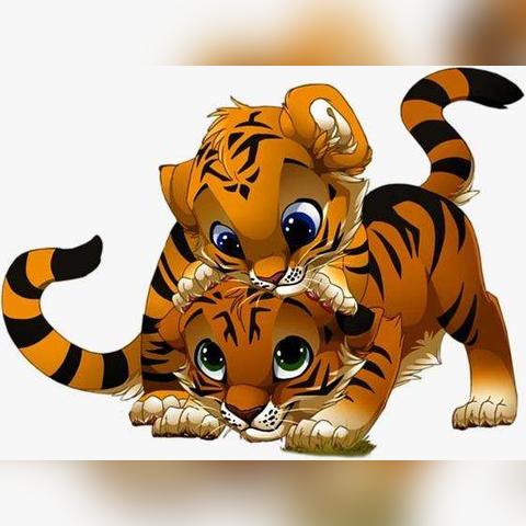 生肖虎24岁运势图片男(生肖虎24岁运势图片男生)