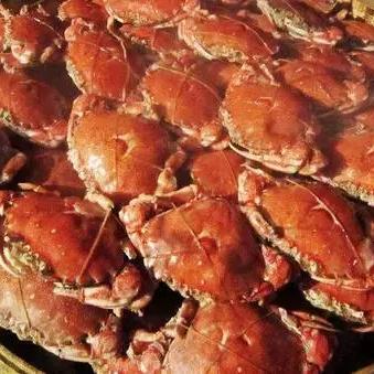 济南市小海鲜哪里好吃点