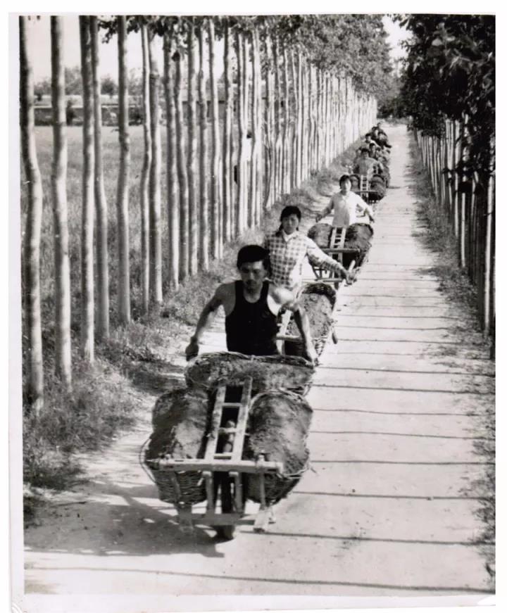 梁姓女宝宝起名宝典,父姓梁母姓杨起四字的名字怎么起