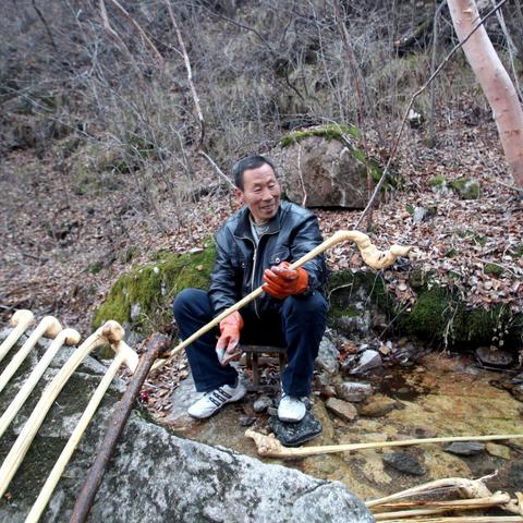 保定市哪里有出租林地的