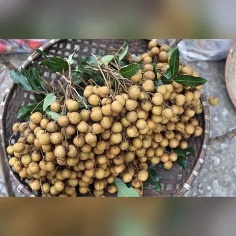 抖音越南跨境电商平台 相关的长尾关键词有什么