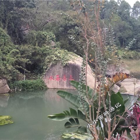 漳州经济主要靠什么？