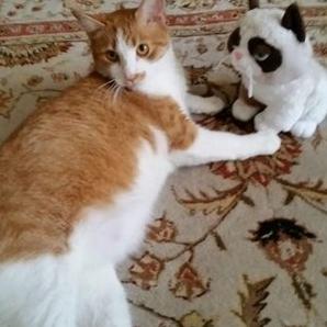 足球怎么带球跑新手的