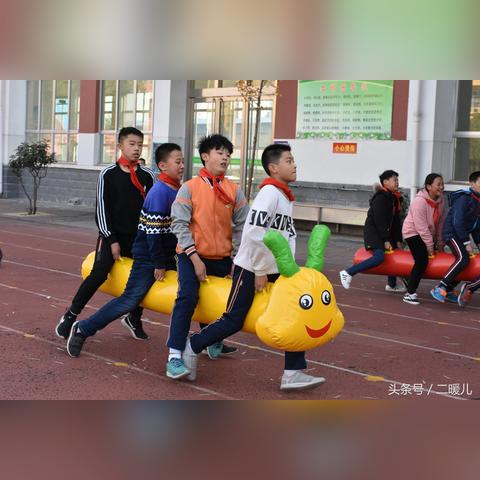 临沂市蘑菇种植的长尾关键词有哪些