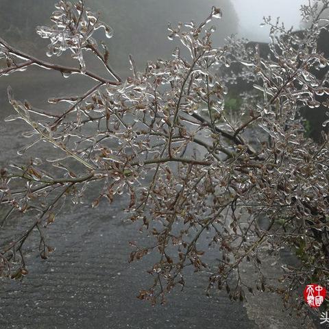 【南宁6月24日天气预报】2025年6月24日南宁天气情况