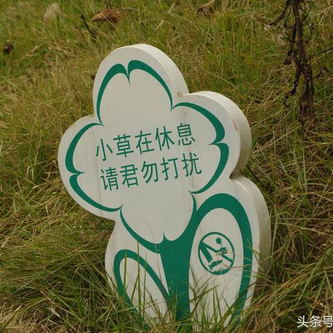长沙桃花岭景区去哪个门比较好？