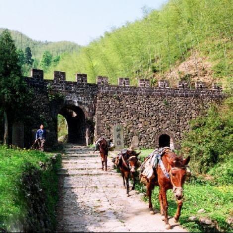 福建哪个地方医疗免费