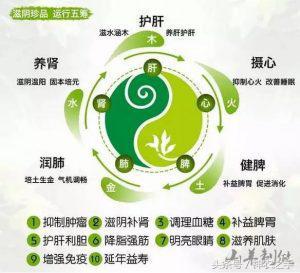 铁皮石斛的吃法和禁忌,为何石斛被列入九大仙草?