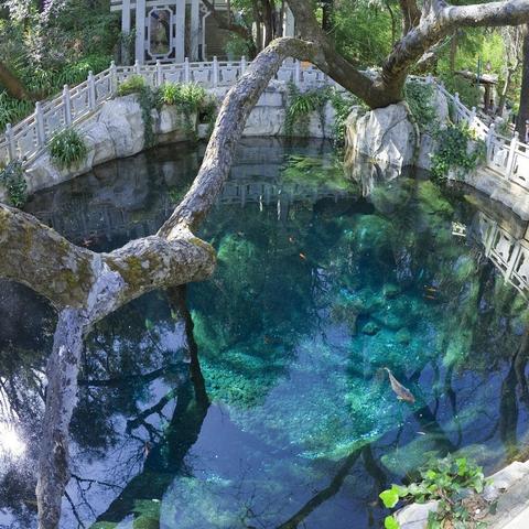 桂林蝴蝶泉视频的相关长尾关键词有哪些