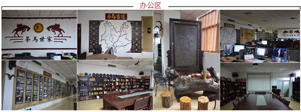双11销量冠军：最热门的单品销售排行