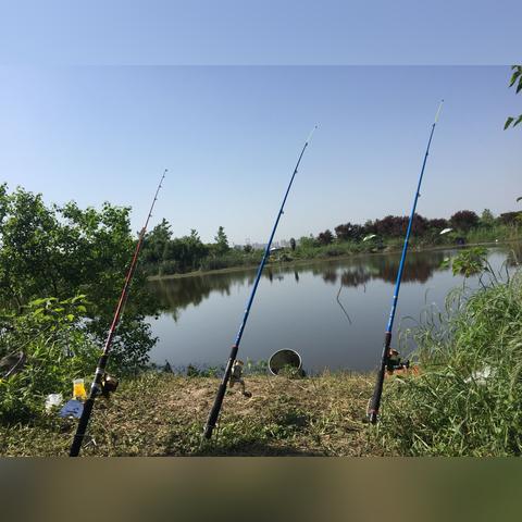 合肥离深圳有多远相关长尾关键词有哪些