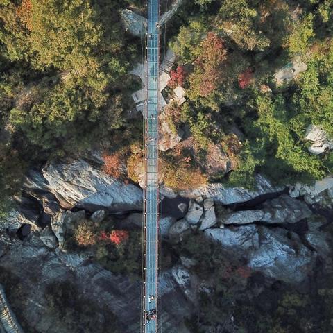 武汉有哪些桥？