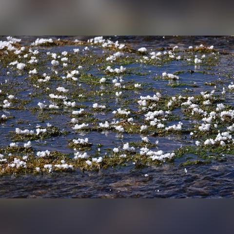 青海8月中旬天气的长尾关键词有什么