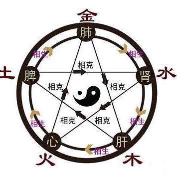 五行生克乘侮的规律图(五行生克乘侮的规律有哪些)