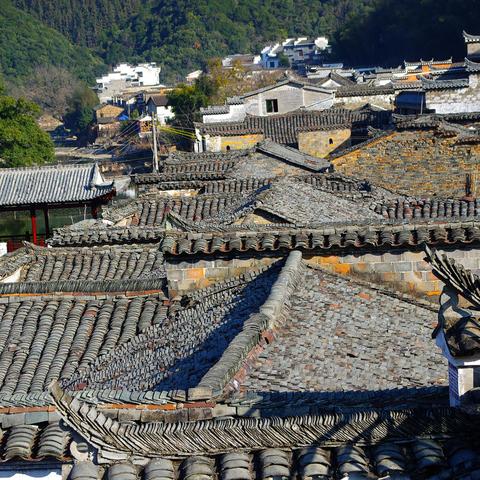 江西中考和河南哪个难考 江西中考和河南哪个难考