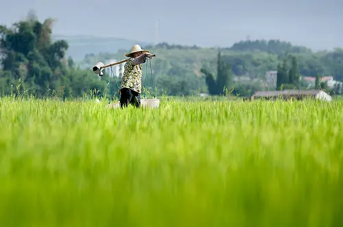 花椒直播能赚钱吗 花椒直播怎样赚钱