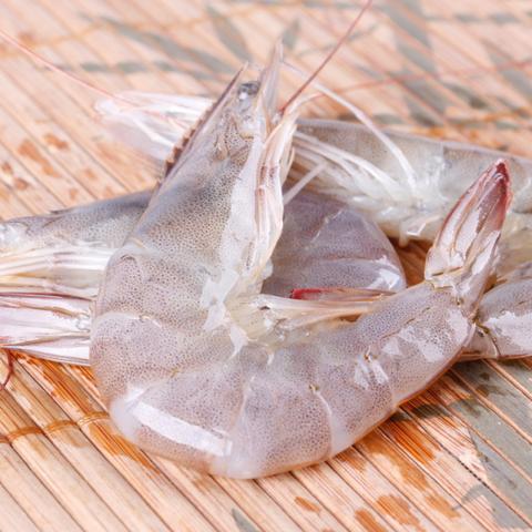 厦门市哪里可以销移动卡