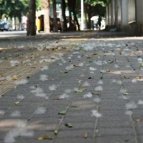 【福州离天津多少公里】长尾关键词有什么